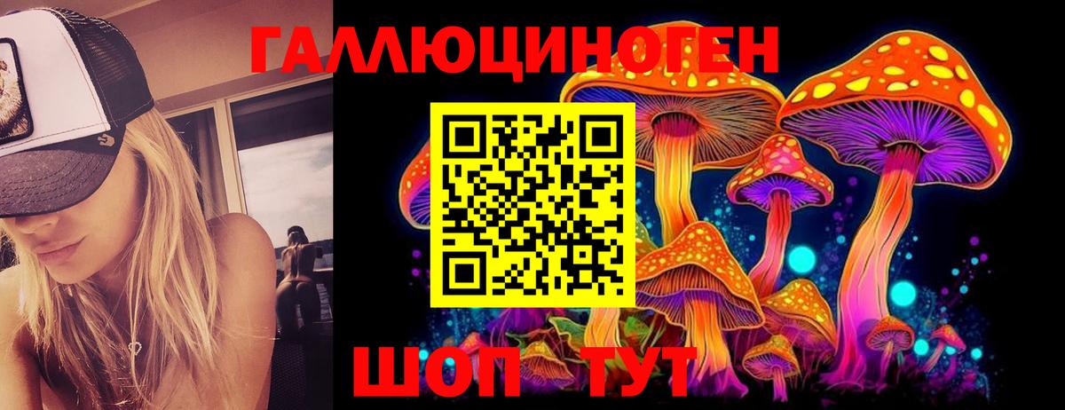 Псилоцибиновые грибы MAGIC MUSHROOMS  Псилоцибиновые грибы GOLDEN TEACHER  Лыткарино  Вход с VPN 