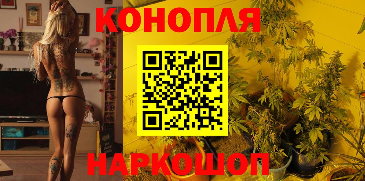 Лыткарино  Бошки Шишки марихуана  Марихуана марихуана  Вход с VPN  Бошки марихуана OG Kush 